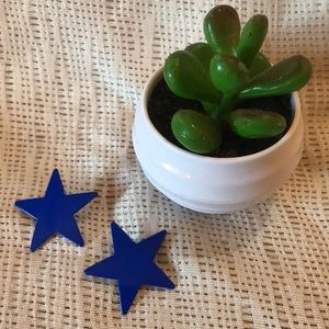 💙Dark blue star earrings